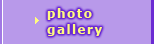 Photo Gallery